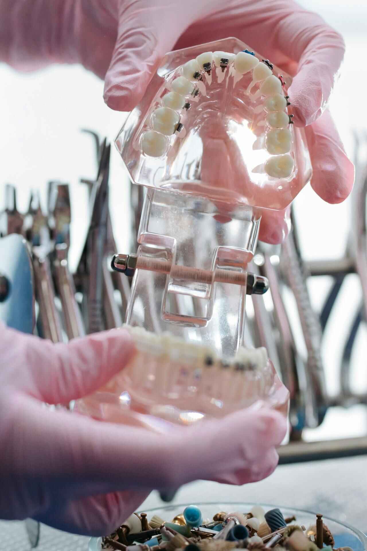 dental clinic the dental studio
